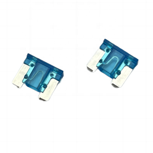 ROHS 2A bis 40A Maxi Standard Mini Micro2 Micro3 Low Profile Fahrzeug Auto Auto Sicherung Blade Sicherung für LKW PKW - Product Image 6