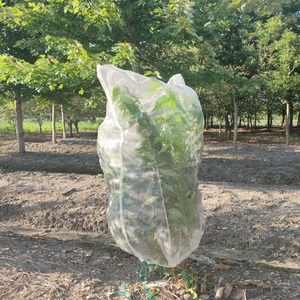 Sacs en filet de nylon durable avec cordon de serrage pour la <span class=keywords><strong>protection</strong></span> des <span class=keywords><strong>fruits</strong></span> <span class=keywords><strong>contre</strong></span> les <span class=keywords><strong>oiseaux</strong></span>, les insectes, les écureuils, filet de <span class=keywords><strong>protection</strong></span> pour plantes de jardin - Product Image 1
