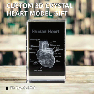 JINCUI personalizado K9 cristal 3D corazón humano modelo grabado láser hogar Oficina decoración tallada grabado cardiología regalo trofeo - Product Image 2