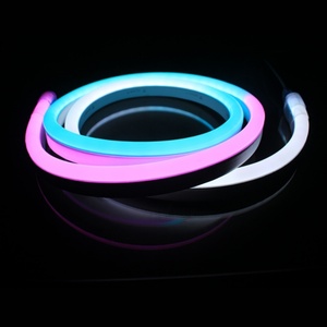 Tira de Luz LED RGB de Neón, Impermeable IP68, Forma de Domo de PVC, Píxeles Dinámicos Mágicos, 24V, para Paisajismo - Product Image 3