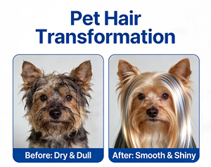 Granulés de complément alimentaire <span class=keywords><strong>naturel</strong></span> personnalisés OEM/ODM pour animaux de compagnie : prébiotiques, probiotiques, vitamines pour la santé de la peau, du pelage et l'immunité contre les démangeaisons chez les chiens - Product Image 5