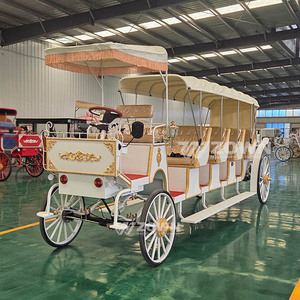 รถม้าไฟฟ้าดีไซน์หรูหราแบบวินเทจ ยอดขายดีที่สุด เหมาะสำหรับงานแต่งงาน รถลีมูซีนซินเดอเรลล่า สำหรับการเที่ยวชมสถานที่ - Product Image 4