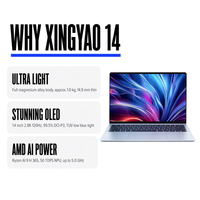 MECHREVO Xingyao 14 Bisnis Laptop AI 9 H 365 32G 1T PCIe4.0 SSD 2.8K OLED 120Hz Radeon 880M Windows 11 Home