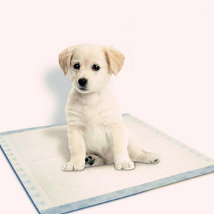 Almohadillas de entrenamiento para cachorros súper absorbentes, almohadillas desechables grandes para orinar para perros, papel tisú de tela personalizado, suministros de entrenamiento para mascotas en el hogar para gatos - Product Image 5