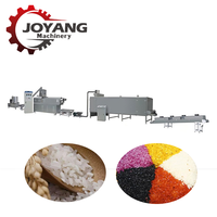 Machine d'extrusion de riz artificiel personnalisée, ligne de fabrication de riz nutritionnel entièrement automatique