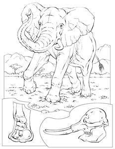 Livre de coloriage personnalisé pour enfants, cadeau promotionnel, livre de coloriage pour enfants, impression de livre de coloriage pour enfants, mode <span class=keywords><strong>2023</strong></span> - Product Image 3