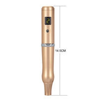 Stylo PMU Microneedle 2 en 1, batterie, salon à domicile, MTS, fournitures de maquillage permanent, sans fil, LED, fin, tatouage des sourcils