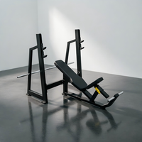 Rack de musculation incliné à charge par plaques, équipement de gym commercial, pour l'entraînement des muscles du haut du torse et la musculation, direct usine