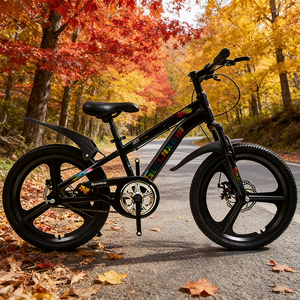 MTBGO Bicicleta de 20 Pulgadas para Niños, Diseño Nuevo OEM, Cuadro de Acero, Una Velocidad, Rueda de Una Pieza, para Niños y Niñas - Product Image 1