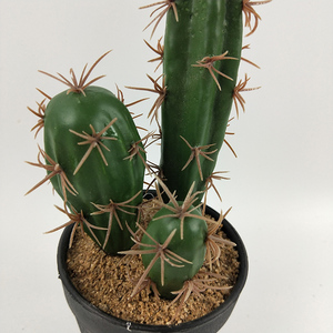 <span class=keywords><strong>Cactus</strong></span> artificiel en <span class=keywords><strong>pot</strong></span> à arrivée rapide, plante succulente de simulation, fausse plante verte d'intérieur en <span class=keywords><strong>pot</strong></span> <span class=keywords><strong>pour</strong></span> la maison, le bureau, la table - Product Image 4