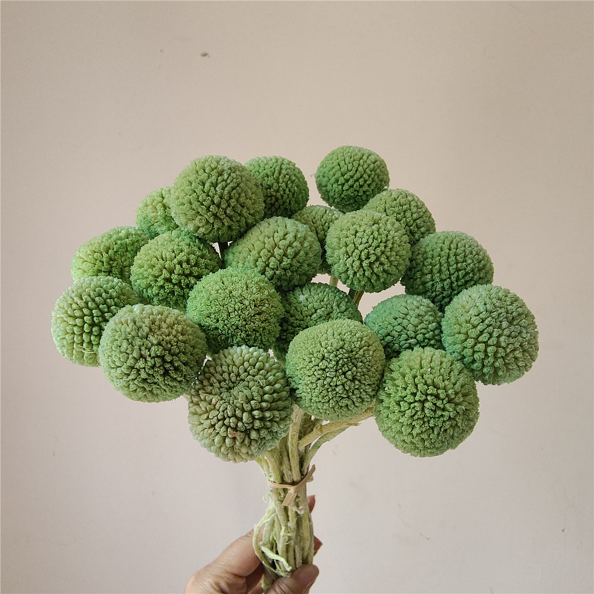 Vert tendre