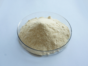 Fosfolipit fosfatidilserin fosfatidil serin fosfatidilserin - Product Image 2