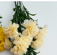 Fleur artificielle en soie pour vase, œillet réaliste fait main de 50 cm, blanc rose, pour décoration intérieure, couleur champagne, pour la Fête des Mères