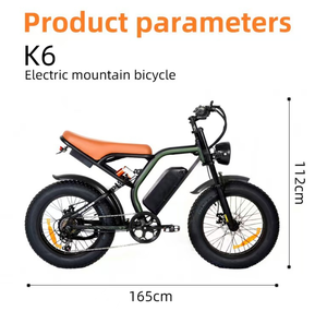 Leichtes Erwachsenen-Elektro-Mountainbike 20 Zoll 48V Bürstenloser Lithium-Aluminiumlegierungsrahmen Hydraulische Scheibenbremsen Straßenunterstützung - Product Image 6