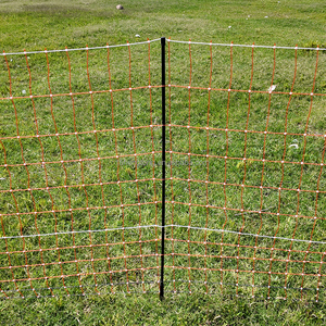 <span class=keywords><strong>Filet</strong></span> de clôture <span class=keywords><strong>électrique</strong></span> pour les élevages de volailles systèmes - Product Image 1