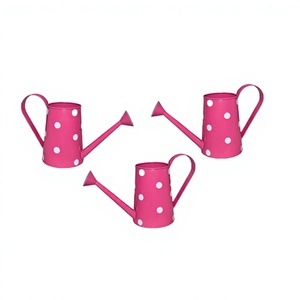 Ensemble de trois arrosoirs galvanisés au design le plus récent, tailles et formes personnalisées, aux prix les plus bas - Product Image 1