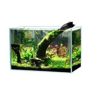 Home Decoration Use Professional Design High Transparent 40 Liter Glass Fish Tank%