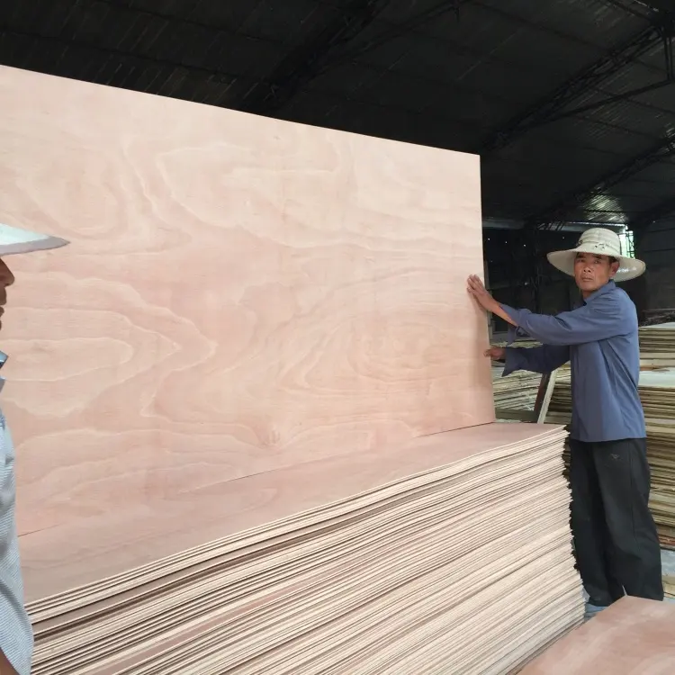 Linyi Nhà Máy Thương Mại Ván Ép Tấm Bạch Dương Ván Ép/Màu Đỏ Ván Ép Tấm Ply Sản Phẩm Gỗ Poplar Core Bảng Gỗ