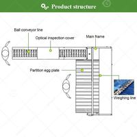 Machine de tri et de pesage automatique pour œufs de caille, fabriquée en Chine, pour l'emballage et la classification des œufs