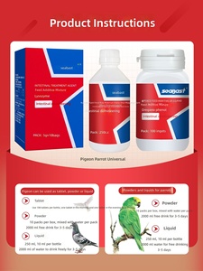 Suplemento en Polvo para la Salud Intestinal de Loros y Palomas: Acondicionador Intestinal para Eliminar E. Coli y Problemas de Defecación (Sebastian's Gut) - Product Image 4