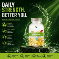 Capsules de créatine monohydrate halal pures en vrac OEM 300g 500g 1kg Suppléments Marque privée Créatine monohydratée en gélules