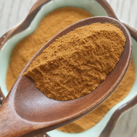 Poudre d'extrait d'Amomum Tsao Ko de qualité alimentaire naturelle en gros pour la matière première des aliments et boissons fonctionnels