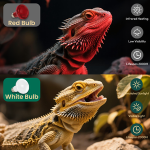 Lámpara de Calor Infrarroja para Mascotas, Bombilla de Vidrio con Base E26, Ahorro de Energía, 100W, a Prueba de Explosiones, Luz de Calor para Reptiles, Tortugas y Geckos, Entrega Rápida - Product Image 6