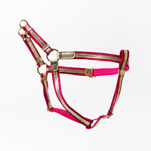 Arnés Azul Turquesa ITALIANA Con Cuero Italiano Dorado Regalo Perfecto Para Dueños De Perros Gamuza Genuina Y Herrajes Con Acabado Dorado - Product Image 1