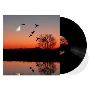 7 10 12 inch high quality vinyl records custom pressing music solid sleeve picture black blank lp disc disk record wholesale