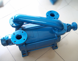 Pompe à vide à anneau liquide industrielle robuste en fonte 2SK, série haute pression simple et double étage, pour dragage 2S - Product Image 2