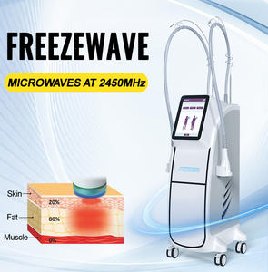 Coolwaves vücut zayıflama cihazı cilt sıkılaştırma kollajen rejenerasyon soğuk lipoliz cihazı Fix hedeflenen yağ azaltma Anti Agging - Product Image 5