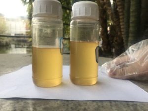 Clethodim 30% EC Soybean Peanut Rape Field After Post Emergence Stem Leaf Conductive Selective Agriculture <strong>Herbicide</strong> - Product Image 4