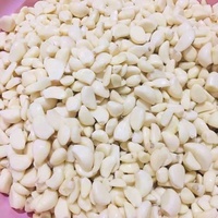 Gousses d'ail frais pelées de haute qualité en sachet sous vide et en sachet azoté – Approvisionnement en ail pelé provenant d'une usine professionnelle de production d'ail pelé