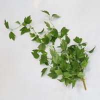 Plantas Artificiales de Alta Simulación, Guirnalda de Enredadera, Follaje de Morera Colgante para Pérgola, Valla, Patio, Decoración Rústica