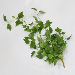 Plantas Artificiales de Alta Simulación, Guirnalda de Enredadera, Follaje de Morera Colgante <span class=keywords><strong>para</strong></span> Pérgola, Valla, Patio, Decoración Rústica - Product Image 6