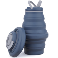 Caractéristique écologique Bouteilles d'eau pliables sans BPA Shaker Drinkware Type 550ml Bouteille d'eau pliable en silicone