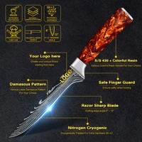 Livraison gratuite SkyCook Couteau de cuisine à désosser et à fileter de 6 pouces en acier Damas VG10 à 67 couches avec manche en résine rouge lave