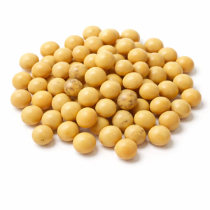 TW Glycine Soja PDRN 100 ppm Plant Derived Polynucleotide <b>Extract</b> High Purity Cosmetic Raw Material Concentrated - Product Image 1