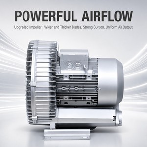 Souffleur à anneau vortex sans huile, faible bruit, haute pression, électrique à courant continu, à rotor externe, en acier inoxydable, aérateur OEM pour poissons et crevettes - Product Image 3