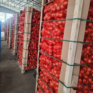 Oignons frais naturels jaunes / rouges à peau, qualité supérieure, fournisseur d'oignons frais, marque optimale, <span class=keywords><strong>prix</strong></span> de gros d'usine, exportateur - Product Image 1