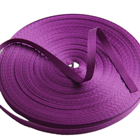 Bande élastique professionnelle en polyester/nylon jacquard pour chaussures de ballet, accessoires de danse en gros