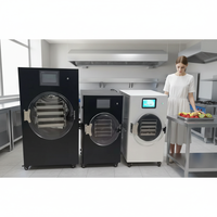 Huishoudelijke 1kg 4kg 5kg 6kg Vacuümvriesdroger Gedroogde Snoepjes Kleine Lyofilisator Vriesdroogmachine