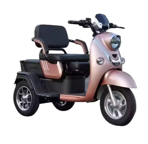 2025 vente chaude d'<span class=keywords><strong>occasion</strong></span> en acier <span class=keywords><strong>vélo</strong></span> <span class=keywords><strong>électrique</strong></span> moyeu arrière moteur 3 vitesses 3 roues conception batterie plomb-acide alimentation 400kg charge - Product Image 5