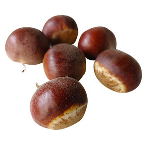 Châtaignes fraîches de qualité supérieure, taille 28-32 mm, à haute teneur en sucre, naturellement sucrées, châtaignes brutes certifiées HACCP - Product Image 1