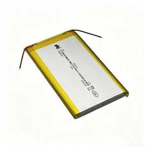 Vendita Diretta dalla Fabbrica: Batteria al Litio Polimero 9065115 10000mAh 3.7V per Elettronica di Consumo, Power Bank, Illuminazione Stradale e Alimentazione di Backup - Product Image 3