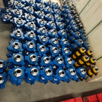 Conector de Tubería de Acero al Carbono de Alta Presión, Marca FMC Weco BOKAI, Unión de Martillo Hembra, Rosca NPT, Forjado, Pulido, para Petróleo y Gas