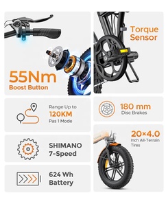 จักรยานคุณภาพดีที่สุด ขนาด 20 นิ้ว 48V 500W 750W 1000W โครงอะลูมิเนียม พับได้ ยางใหญ่ - Product Image 3