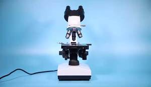 Microscope biologique binoculaire de laboratoire <span class=keywords><strong>Wakanda</strong></span> XSZ-107 WF10x/WF16x, vente en gros d'usine - Product Image 4
