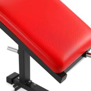 Machine à Squat Rhino avec Protection Lombaire, Équipement Commercial de Musculation pour Jambes et Fessiers, à Charge par Disques - Product Image 6