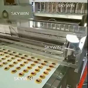 CE mesin penyimpanan otomatis dua warna sepuluh jalur coklat dan Jam untuk biskuit Tart telur biskuit Tartlet krim isi kacang biskuit - Product Image 4